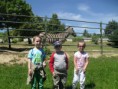 /album/zoo-kosice/sam-1624-jpg/