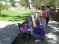 /album/zoo-kosice/sam-1631-jpg/